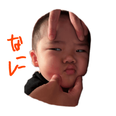 aoi_20250222123001