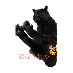 MARI_20250221230817