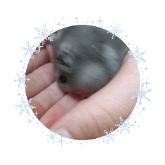 ai_20250222123359