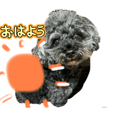 myonai