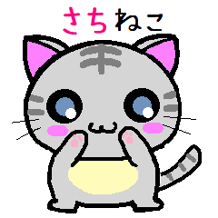 Sachi cat
