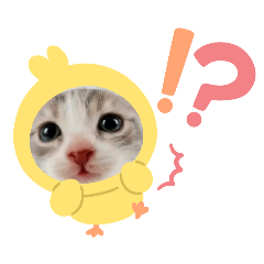 ㄦㄡ