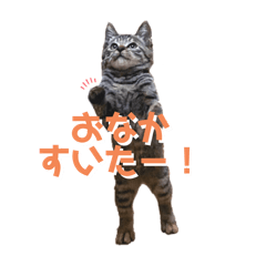 asuka_20250221224625