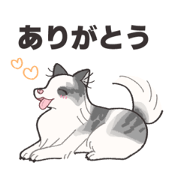 watashideath_20250222002829