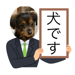 nico_20250222025714