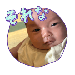 sho_20250222143553