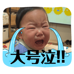 MOE_20250222144158