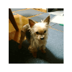 yuki_20250222