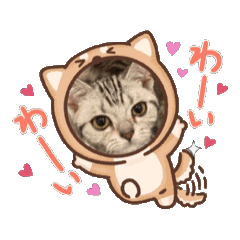YuRi_20250222174937