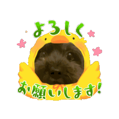 Ren_20250223095002