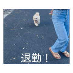 mimi_20250223101550