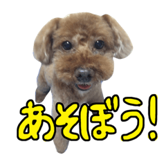 T.Kuu2