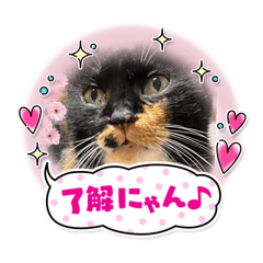 emi_20250222160730