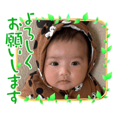 yuki_20250222184633