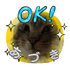 haruki_20250222211605