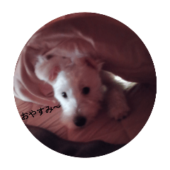 yumarin_20250222193148