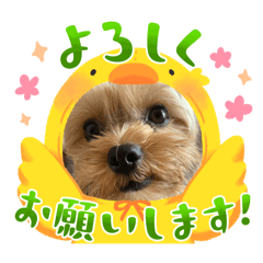 emi_20250222193439