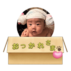 tomo_20241125