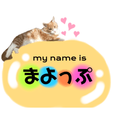 Ayumiso_20250222224155