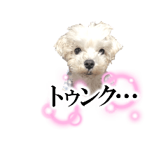 YH_20250222215748