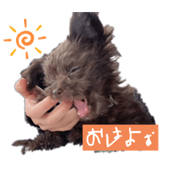 ran_20250223002004