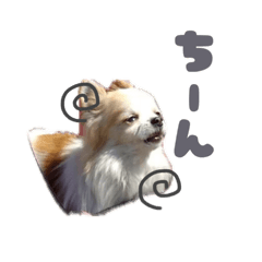 tamago_20250223004915