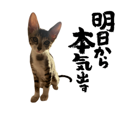 minami_20250222222314