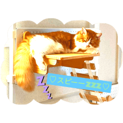 attsu_20250222111134