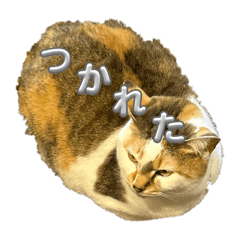 Aa_20250222154915