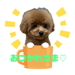 Pupu_20250222155538