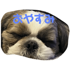 yuta_20250222155625