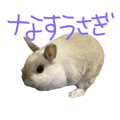 mo_20250222234054