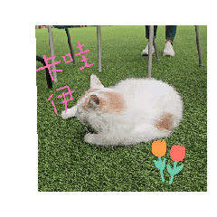2月22