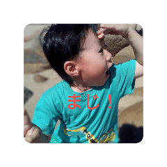 mimo_20250223095428