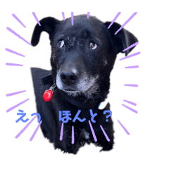 SAEKO_20250222192837