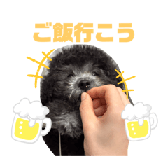 aoi_20250223022311