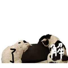 H_20250222192726