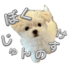 MARU_JUN
