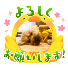 mayu_20250222213829