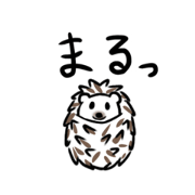 Cute Hedgehog Stamps