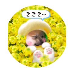 HANA_20250222154820