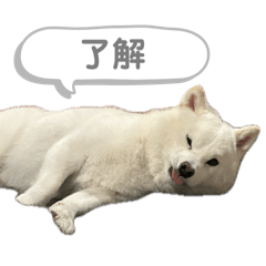 Yume_20250222175958