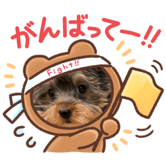 emi_20250223000204