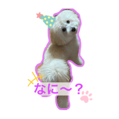Sakumaru_20250222235902