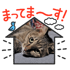 yukie_20250222235449