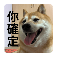 小巧比