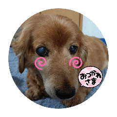 natsu_20250223090620