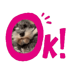 KOKOkundayo