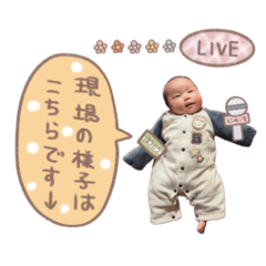 Ryo_20250222180911