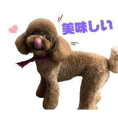 Stamp shop rin_20250222230143